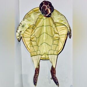Halloween Costume Toddler 4T Sea Turtle Costume Absolutely Adorable!!!